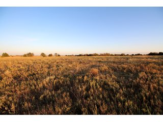 Garfield, County, Oklahoma farmland - LAND AUCTION - 160+/- ACRES OFFERED IN 2 TRACTS IN GARFIELD COUNTY, OKLAHOMA
